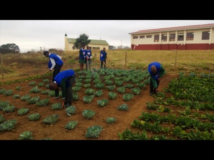 Pupils from Sthandiwe Special School tend their vegetable garden