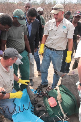 KZN MEC for Agriculture, Meshack Radebe (far left) with Omar Singh, chairman of the environmental portfolio committee and Charles van Niekerk (kneeling) from the Rhino Rescue Project