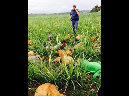 1375258_578160328899_586883240