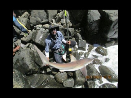 Dean Reddy shows off his 50kg Grey Shark that he landed recently off Shark Point at Mazeppa Bay