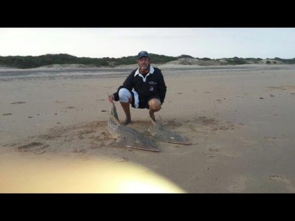 Glen de Gasperry with a pair of young sand sharks