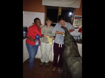 Thula Thula’s Chef Tom Xulu, Shireen Bond and vet nurse Alyson McPhee feeds a starving baby Tom