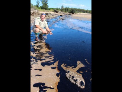 Ezemvelo Honorary Officer Jaco Bates at one of the worst-affected spill scenes