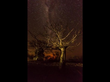 Hein Beukus’ superb winning entry ‘Starry Night’