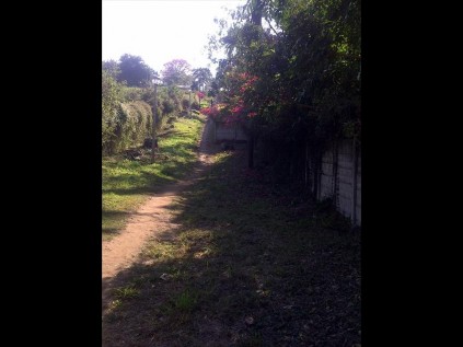 The pathway leading up to Loftheim Road where many people have been victims of crimePHOTO: Carmen Fernandes