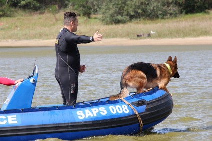 Rescue sniffer dog Troy guides SAP members W/O Adriaan de Villiers and W/O Waldo Herbst to the possible location of the body of the gunman. PHOTO: Dave Savides
