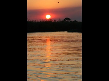 Overlooking the Okavango river with a sunset that will be remembered forever.