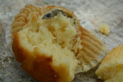 An Empangeni woman found a gecko in her vanilla muffin