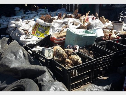 Numerous leguaan skins and other animal parts were also recovered