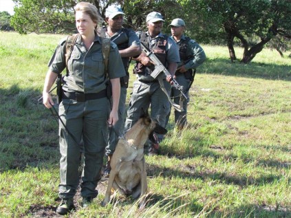 Chantal Dickson with Heddi, Maqondana Mlambo, Kobi Emmanuel Ndwandwe and Siyanda Ngubane from the EKZNW St Lucia APU Unit are the eyes and noses on the ground in the fight against rhino poaching