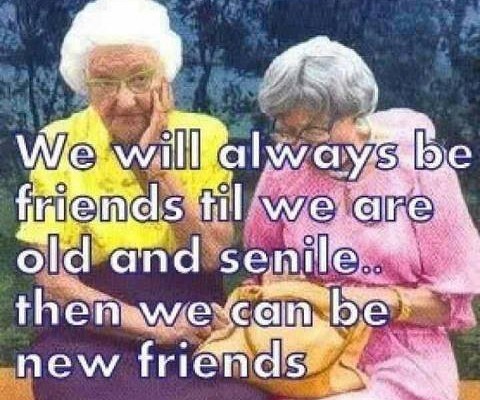 Friendship
