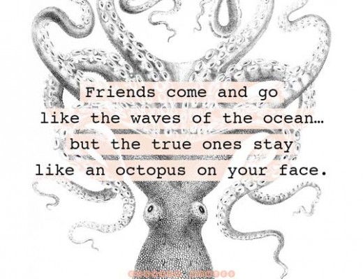 zfriendship2907
