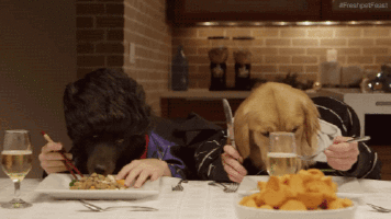 dinner