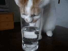 drinking water