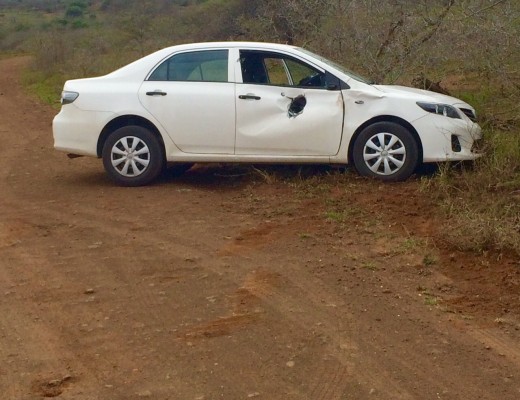 A tourist vehicle was pushed off the road by an elephant in Hluhluwe-iMfolozi Park this morning