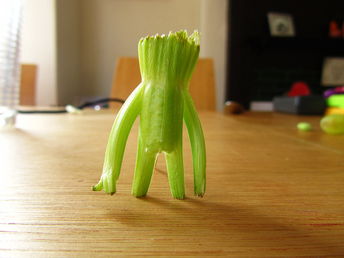 zveggie3