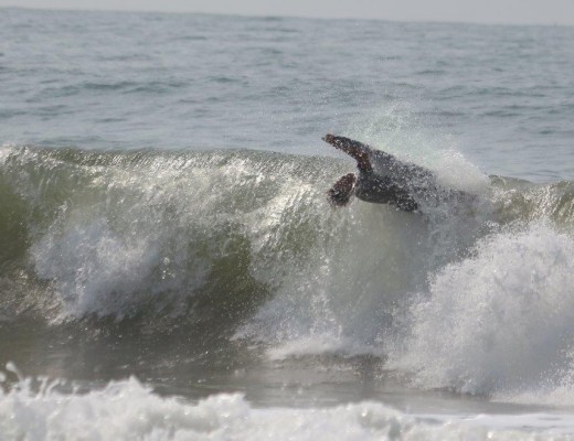 Joshua Falconer  in the Boys Division