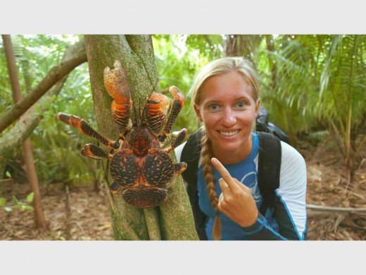 A coconut crab spotted by Karin on one of the islands