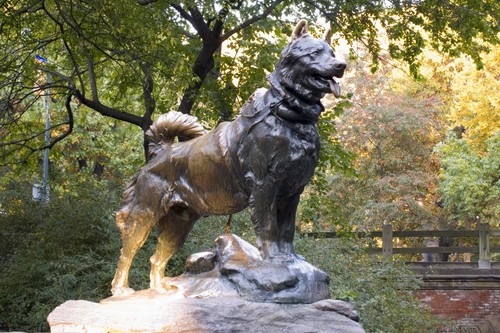 Panoramio-Photo-of-Balto-the-Sled