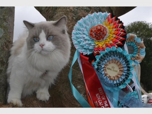And the winner is... Empangeni's charming Jojo!