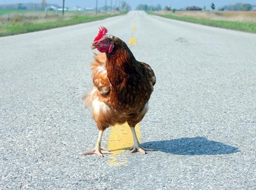 zcrossiingroad