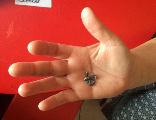 The brave principal holds the bullet fragments recovered at the scene in Meerensee.