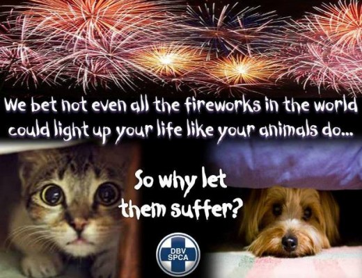 Fireworks