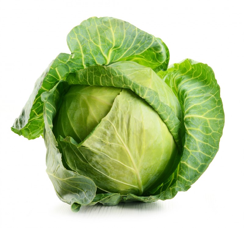 Raw cabbage isolated on white