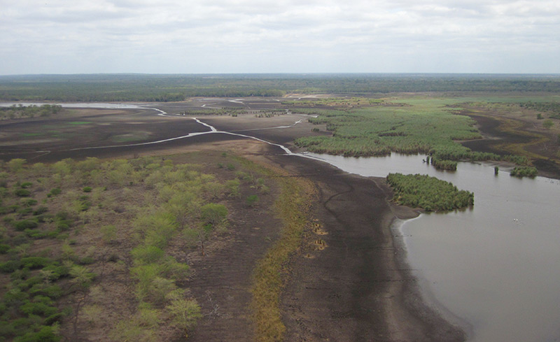 Mud surrounding drought hit Nsumo Pan in Mkuze has claimed the live of five rhino so far. Photo - iSimangaliso, 2 December 2015