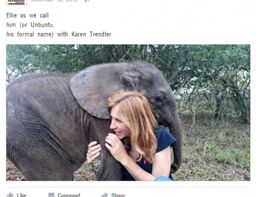 thula