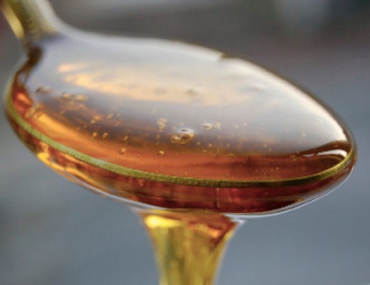 agave