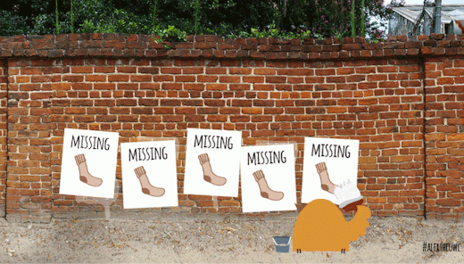 Missing Socks
