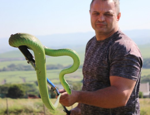 Jaco Dercksen Mamba two