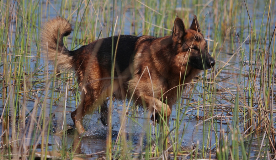 Troy(3)_09458_tn