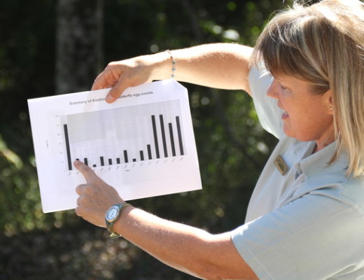 Sharon Louw shows a graph highlighting the drop in egg numbers in 2003 and the increases over the last four years PHOTOS: Larry Bentley