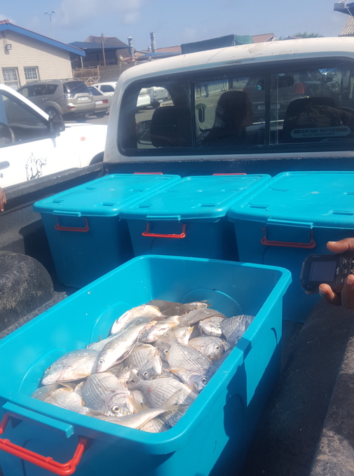 In August, two poachers were caught selling fish, prawns and crabs from four crates in eSikhaleni. The Richards Bay SAPS later revealed no case had been opened and the suspects were never brought to the station's holding cells