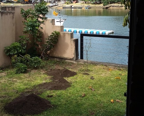 With a north-easterly wind blowing, the flare had been fired from across the canal