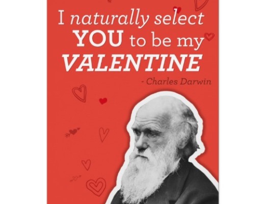 i_naturally_select_you_to_be_my_valentine_darwin_card-rc61fede811c24dd580cb7762b0a71339_xvuat_8byvr_540